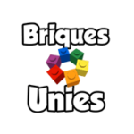 logo de Briques Unies